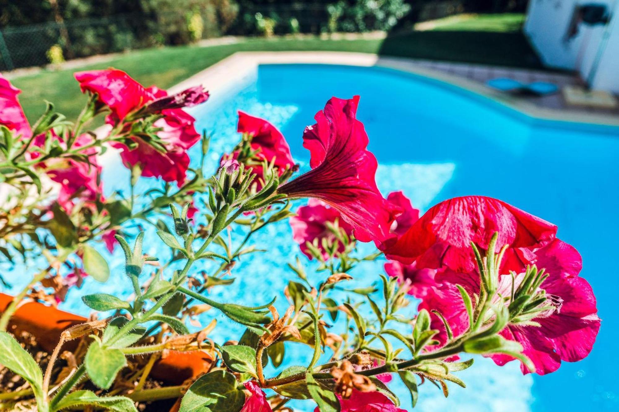 Estalagem Bela Vista Bed and Breakfast Mondim de Basto Buitenkant foto